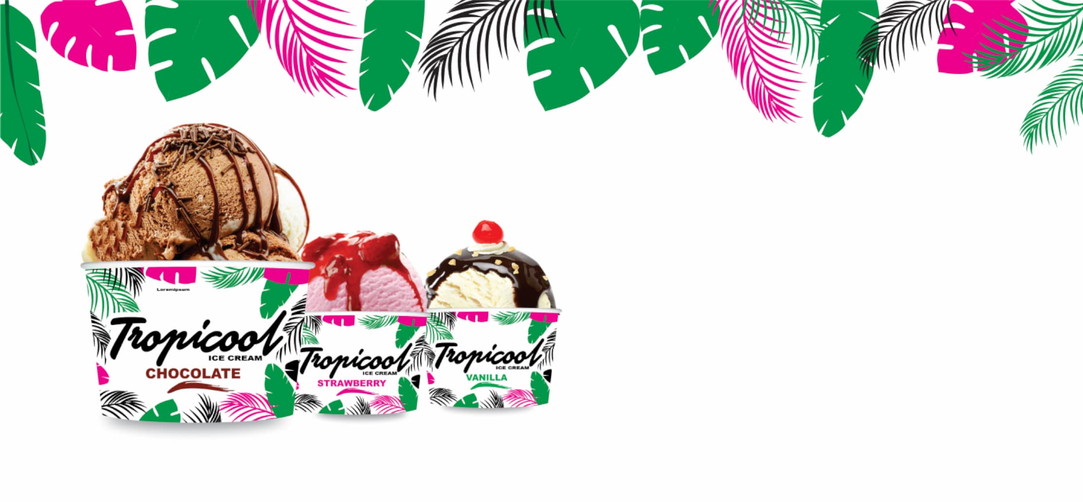 Tropicool Best Italian Gelato Ice Cream